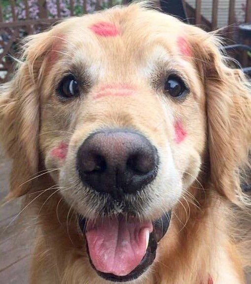 Erhs1998's tweet image. 