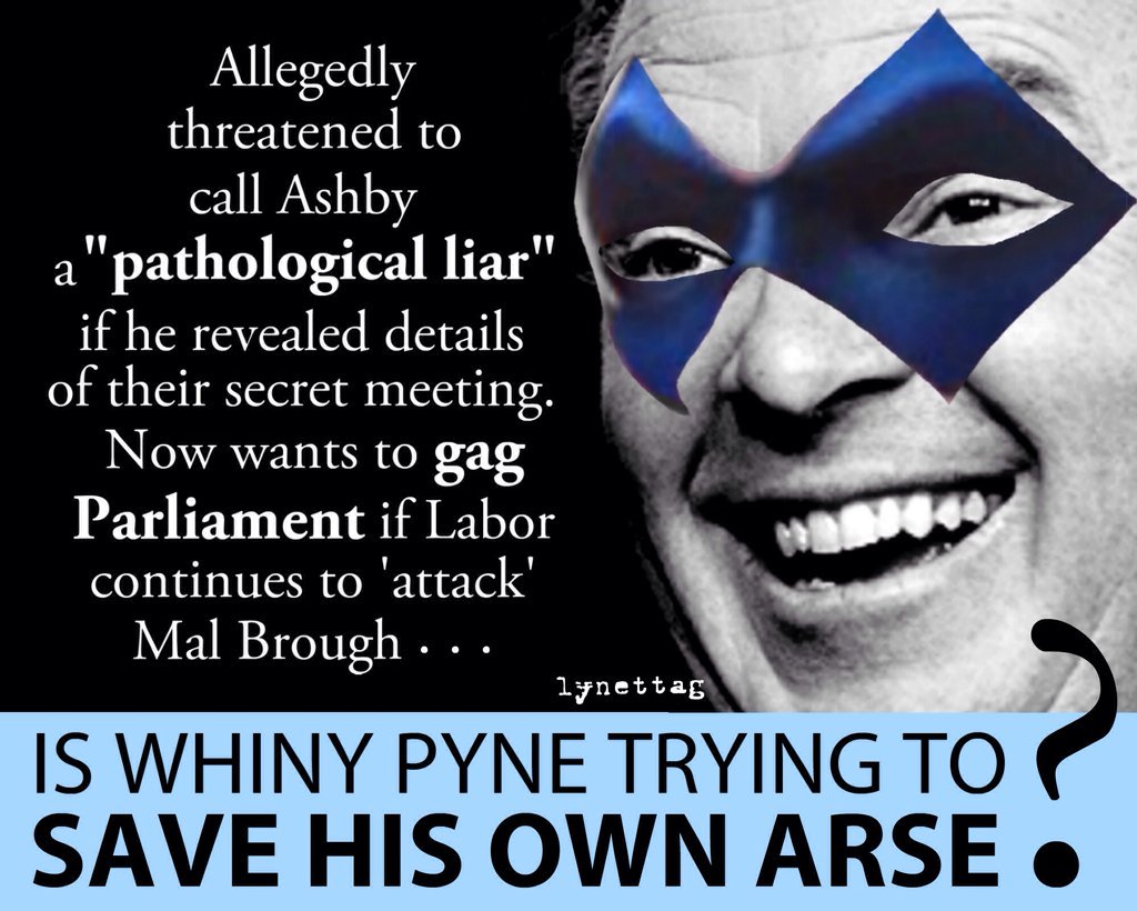 artbylynettag's tweet photo. Sometimes the truth catches up Special Minister of State #ashbygate #LNPliars #LNPfail #auspol https://t.co/Lk12qMrAs6