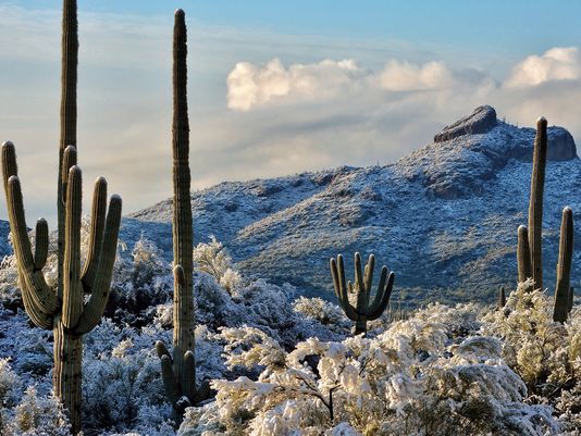 azcentral's tweet photo. Best Arizona photos in 2015: #AZ365 Year in Review https://t.co/EqMStnl6Jn https://t.co/dnGkiUPeRr