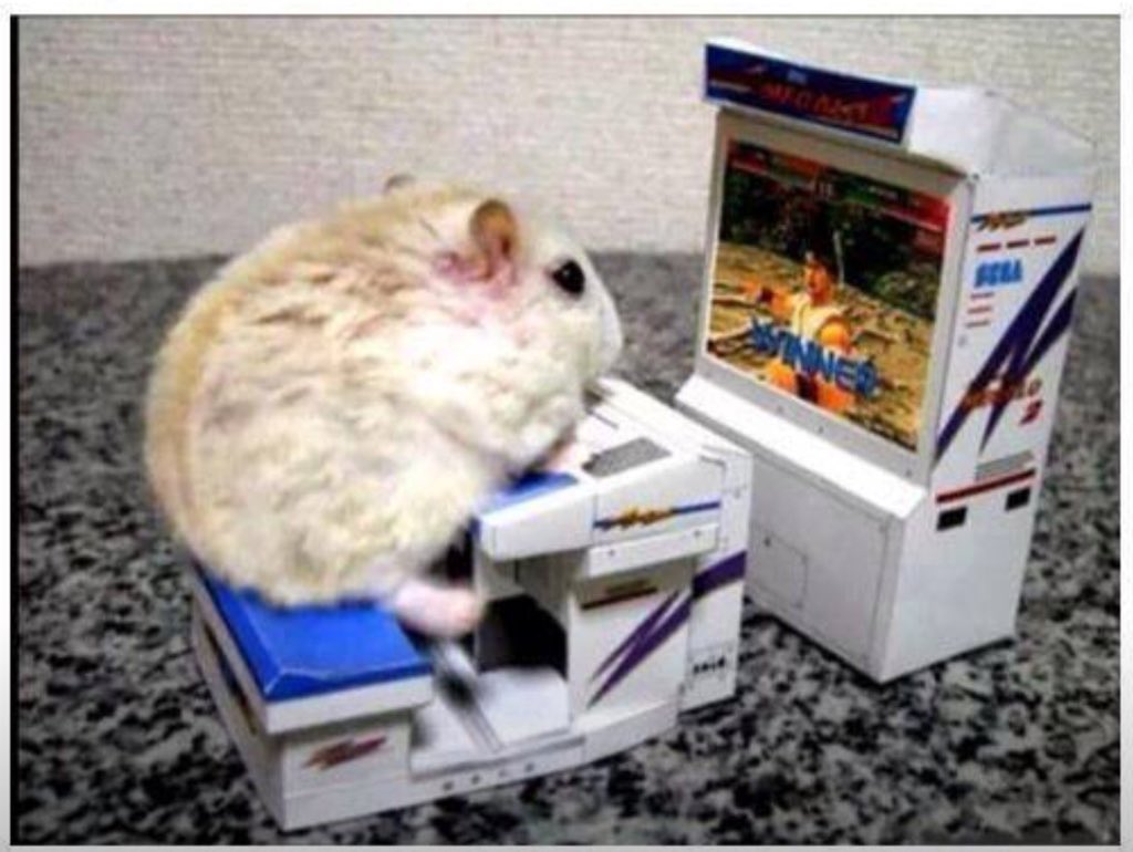 AstroMiceRule's tweet photo. Tony just finished a rad gaming system.
#AstroMiceRule https://t.co/3QoUrmTCkv
