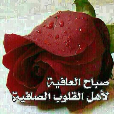 kaledkk231's tweet photo. https://t.co/LIbtCa49B7