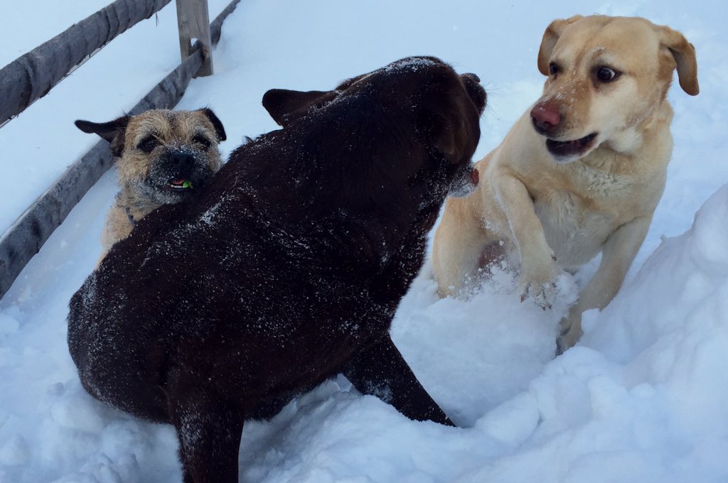 Data (@datadog) on Twitter photo .<a href="/mansillaDEV/">Neil Mansilla</a> <a href="/clearbit/">Clearbit</a> <a href="/awscloud/">Amazon Web Services</a> <a href="/Runscope/">Runscope</a> You missed this picture of my lecture. <a href="/datadoghq/">Datadog, Inc.</a> .<a href="/mansillaDEV/">Neil Mansilla</a> <a href="/clearbit/">Clearbit</a> <a href="/awscloud/">Amazon Web Services</a> <a href="/Runscope/">Runscope</a> You missed this picture of my lecture. <a href="/datadoghq/">Datadog, Inc.</a>