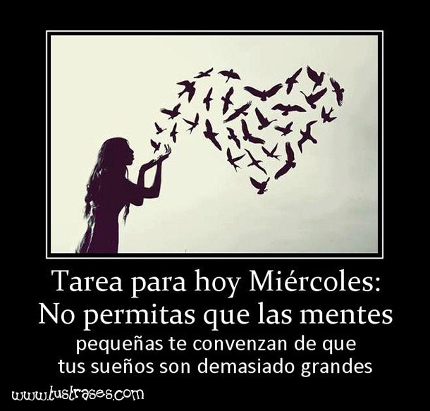 tema001 tweet picture