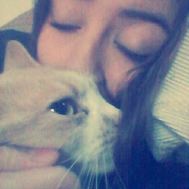 andre234e's tweet photo. "@maryxoxo69: 😪😽😻😸 
-Mxx. https://t.co/WQdtmKGfVp"yes maryxoxo69