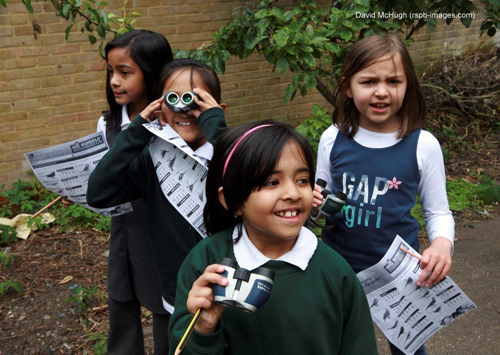 RSPB_Learning's tweet image. Take part in the Big Schools Birdwatch and learn to identify birds! Register for January:
bit.ly/1BYkjz4