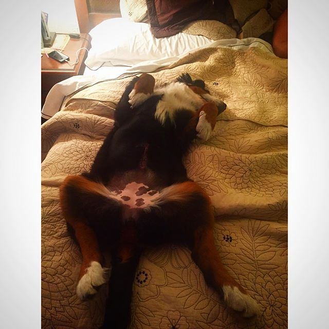 FunnyworldBlog's tweet image. #webstragram #TBT #TravelTuesday #igaddic #instapic #instagold #instalike #Insta... - funnyworld.ca/webstragram-tb…