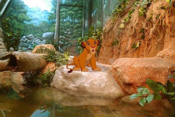 AwesomenessMost's tweet image. For more pictures like this:

mostawesomeness.com