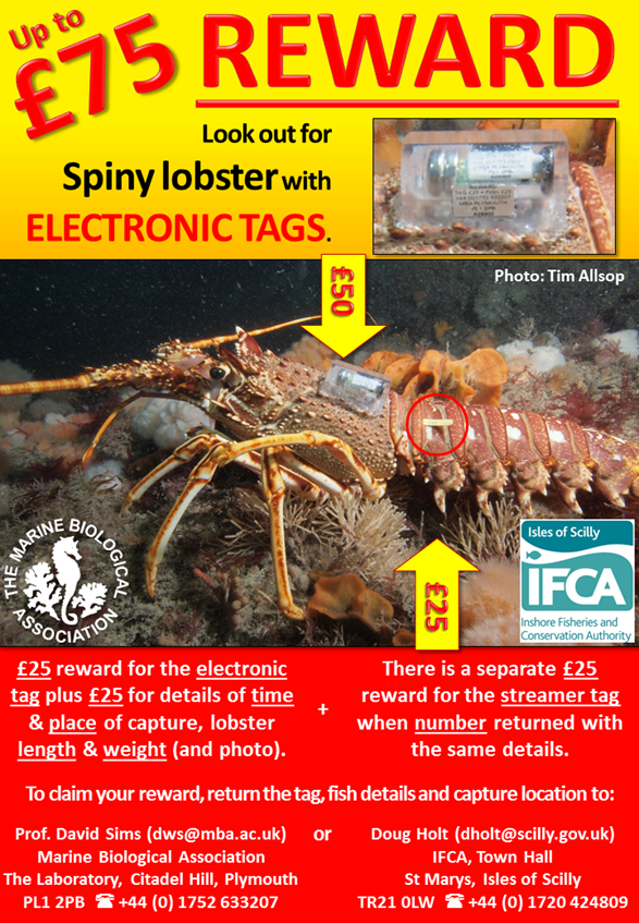 MBA - Marine Biological Association tweet media