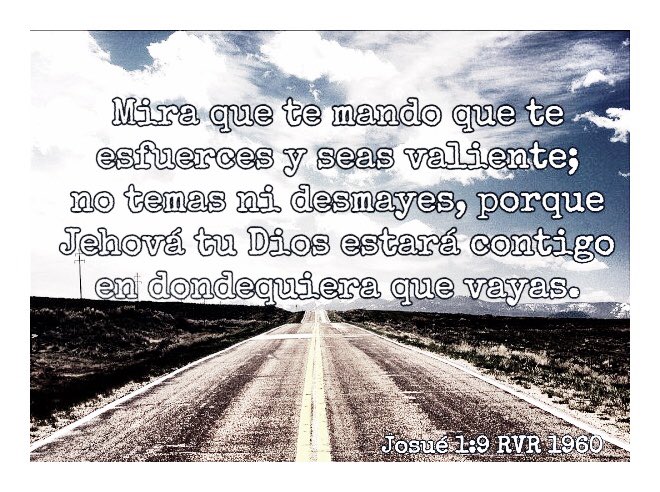 fernandth1's tweet image. 