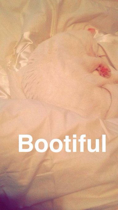 Watch MADDISON BLACK's leaked NSFW photo on TwXstars