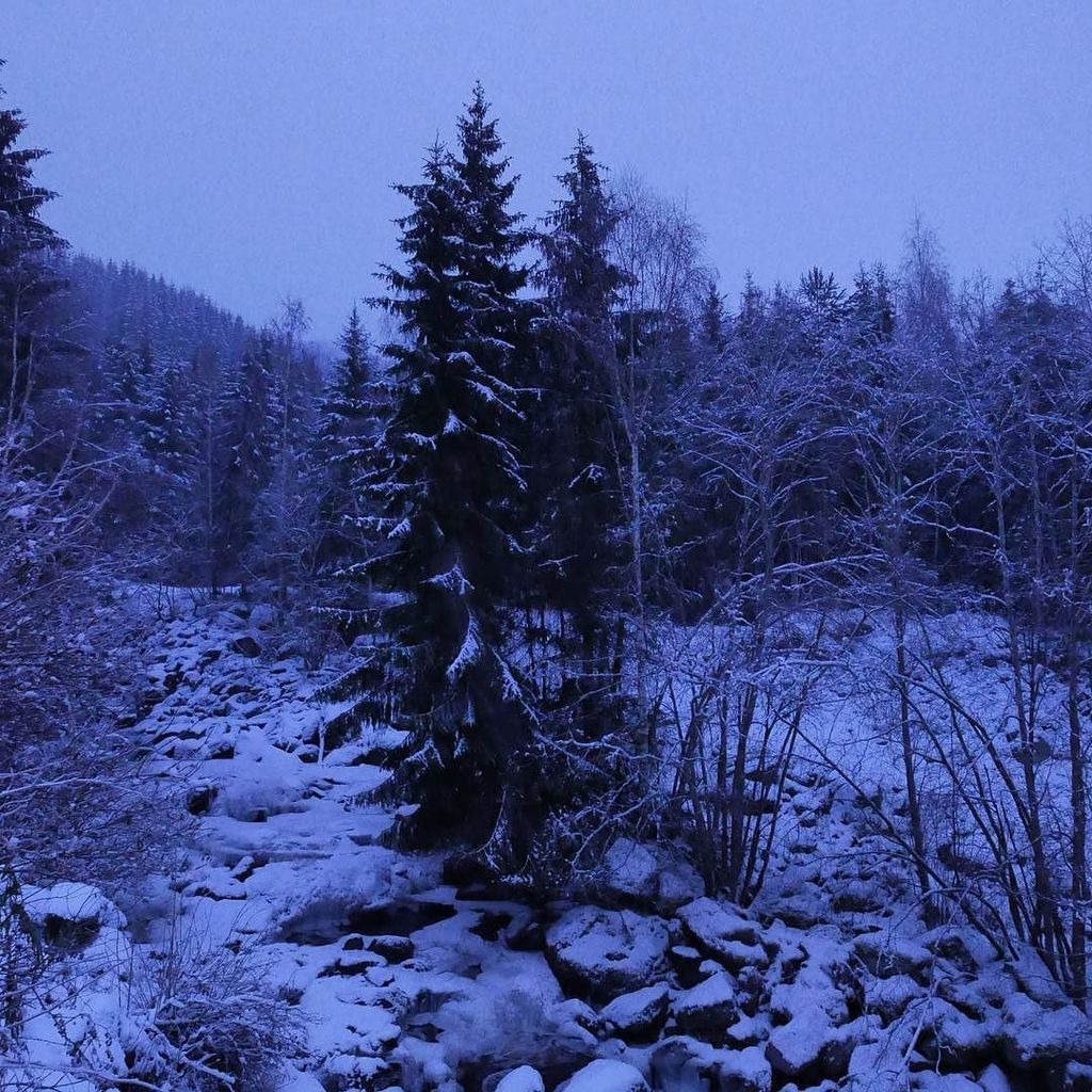 JonathanKeenan's tweet photo. Morning. First light.
#Hafjell #Norway #todaysoffice #snow #jkp #Four23 @studiofour23 https://t.co/uawcoZvQRJ