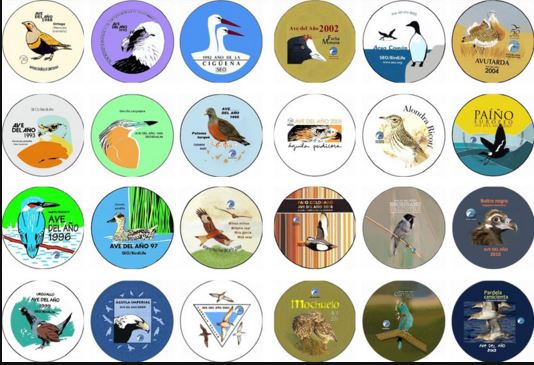 SEO_BirdLife's tweet photo. Nuestras Aves del Año narran gran parte de nuestra historia. Quieres coleccionarlas   https://t.co/ewpTQgh3JX https://t.co/C3iSNCBewB