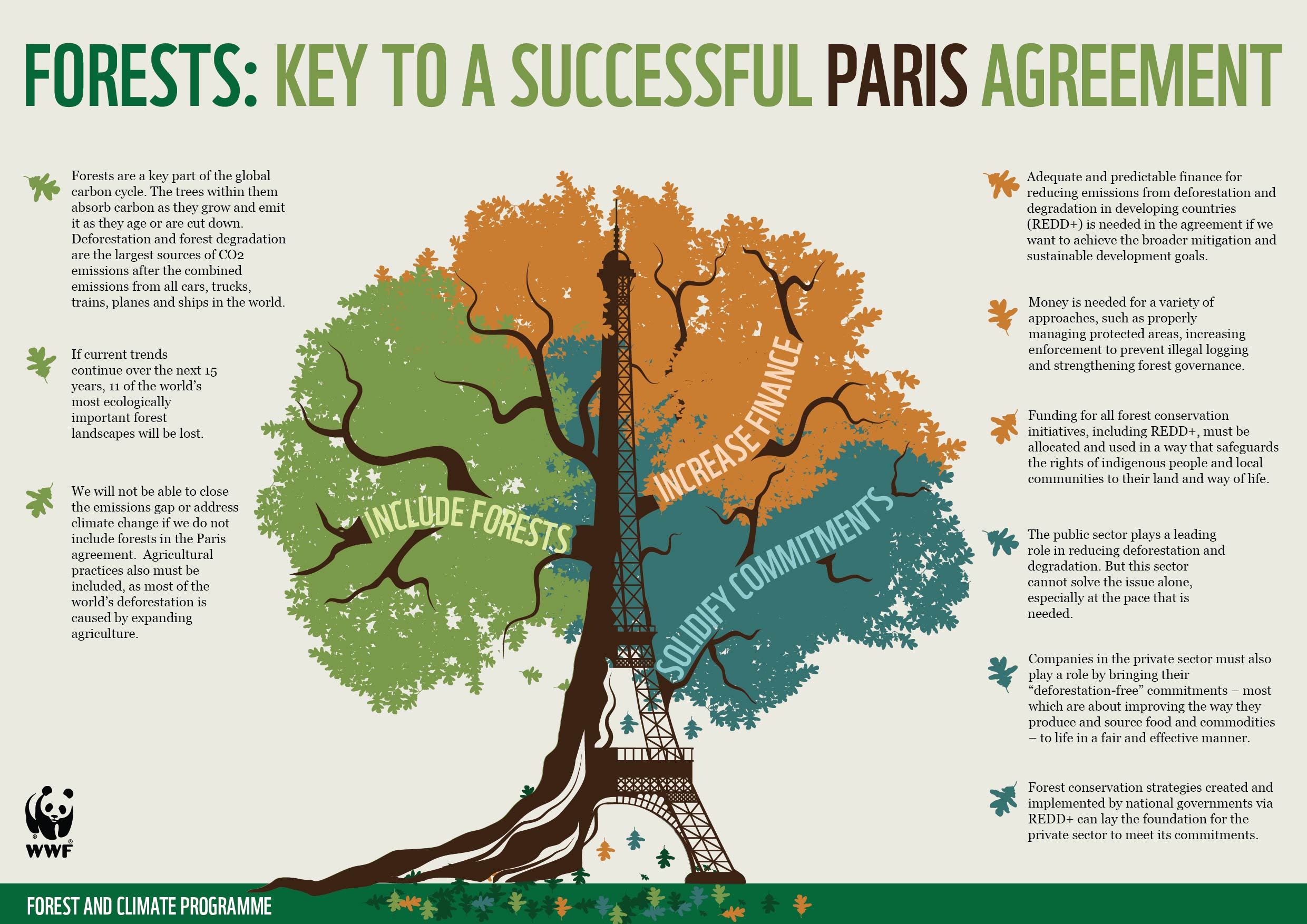 Wwf Uk After Oceans Forests Are World S Largest Storehouses Of Carbon Rt If You Want Leaders At Cop21 To Saveforests T Co Qtgqtns2gr Twitter