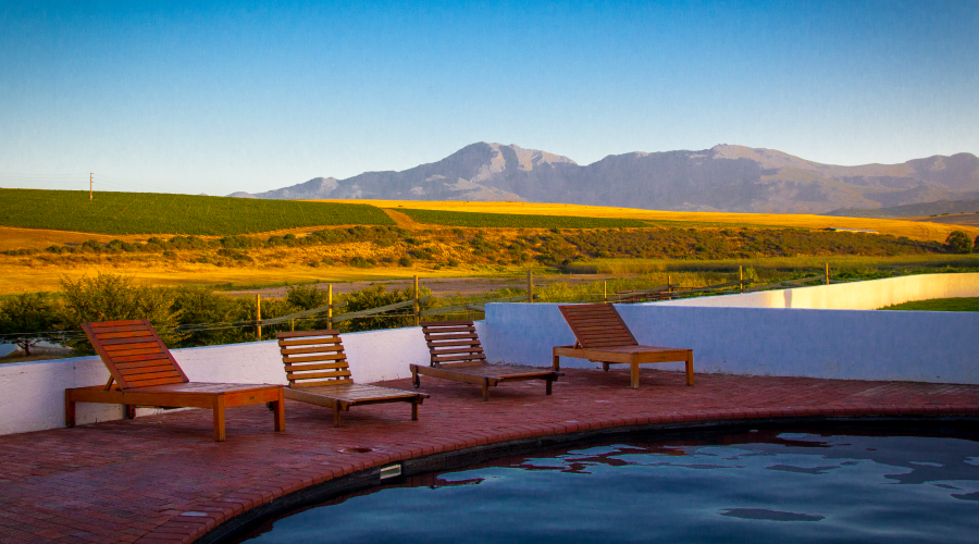 Wildekrans Wines tweet media