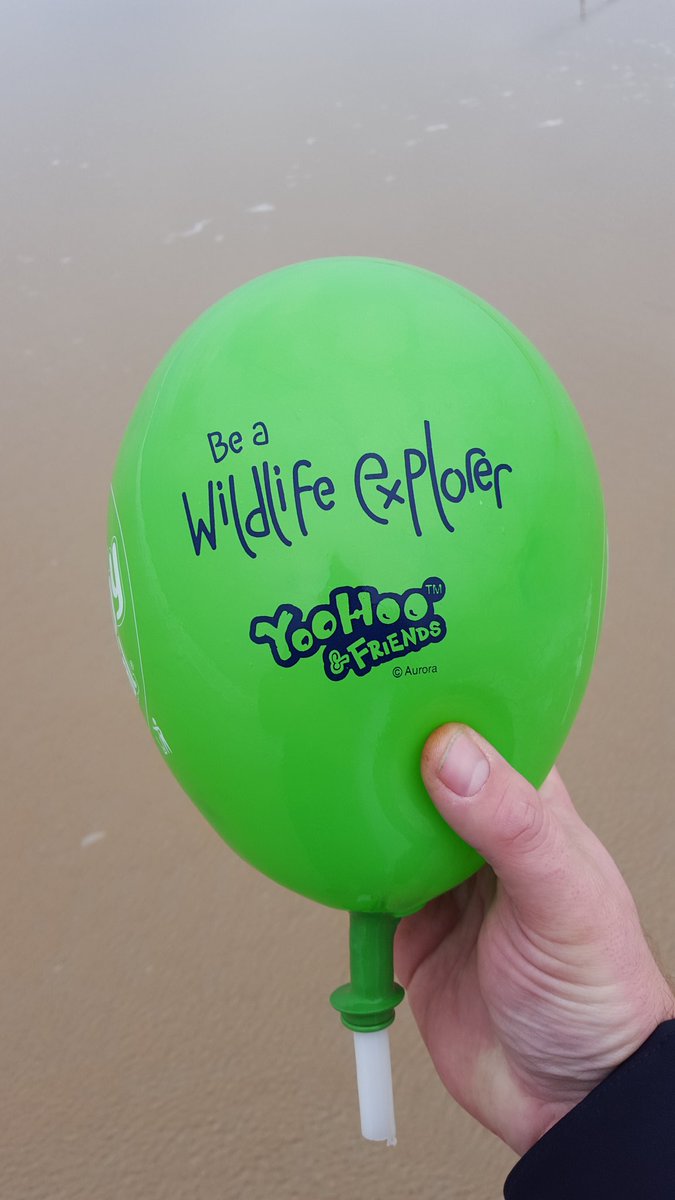 27Berend's tweet image. STOP MET BALLONNEN @Vlieland @McDonalds @vvvvlieland @vlie_nl @VlielandStart @Dirk_Bruin