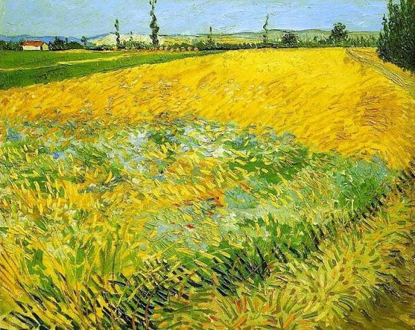 hutterdesign's tweet image. Vincent Van #Gogh  &quot;Champ de blé&quot; 1888 #vangogh #art   #artwit #twitart #iloveart #followart #colores  #artweet