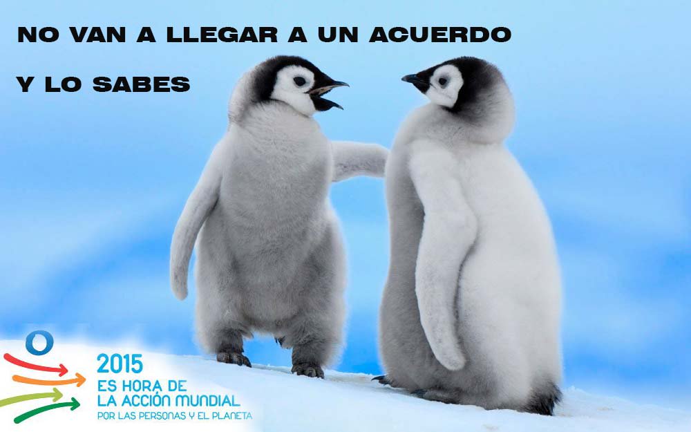 enexua's tweet photo. #CumbreClima #CambioClimatico https://t.co/Rw6VFas5vj