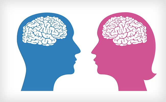 Мозг мужчин различия. Мозг мужчины и женщины. Мужской и женский мозг. Мозг мужчины и женщины различия. Мозг мужчины.