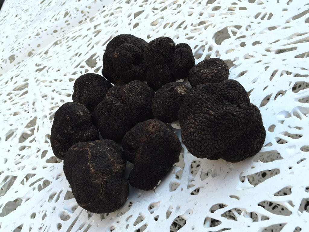 Frank Renimel tweet media