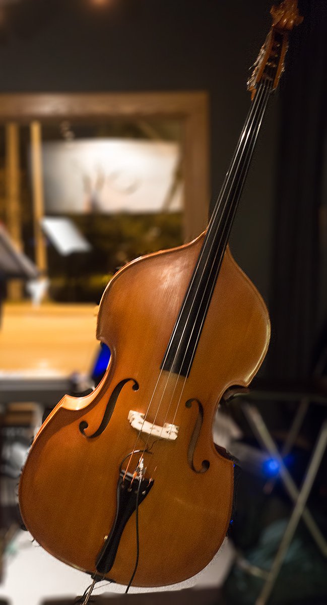 It's Anne Pin on string bass this weekend at <a href="/michaelonthames/">MichaelsontheThames</a> #jazz #livemusic #ldnont #LDNENT