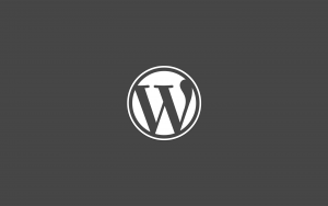 bybbpress's tweet image. Choisir le bon thème sur WordPress j.mp/1Nolls0
