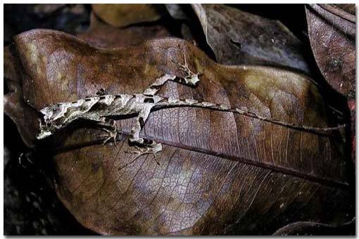 Ana Dreads tweet media