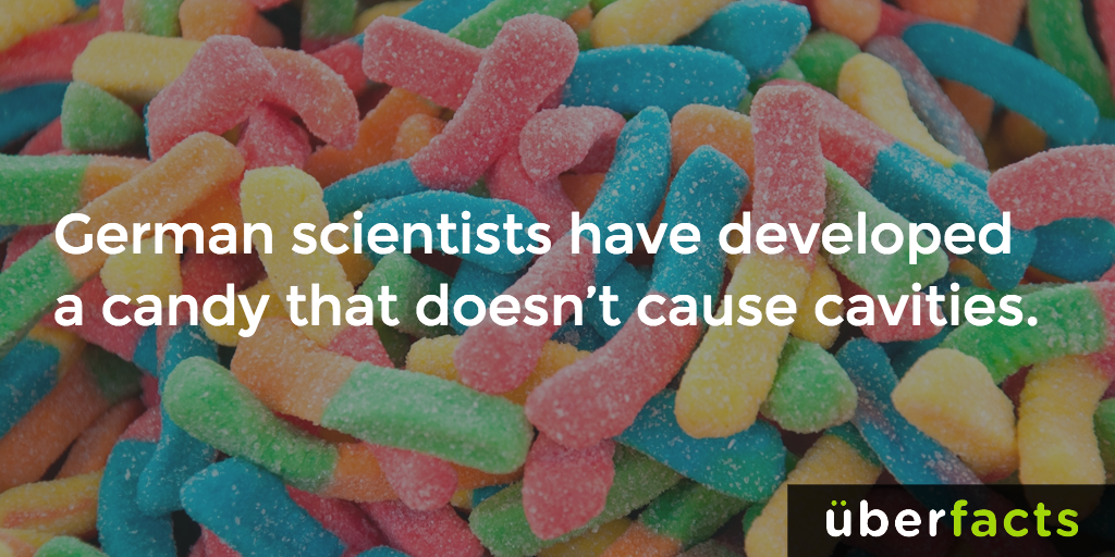 UberFacts tweet picture