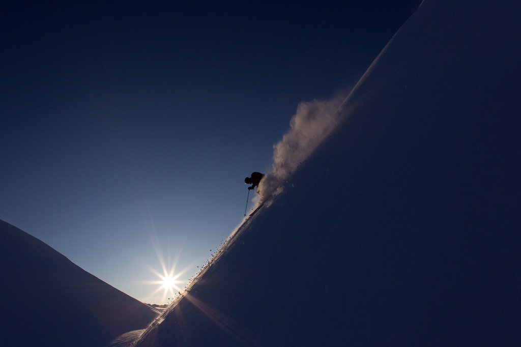 Will Wissman tweet media