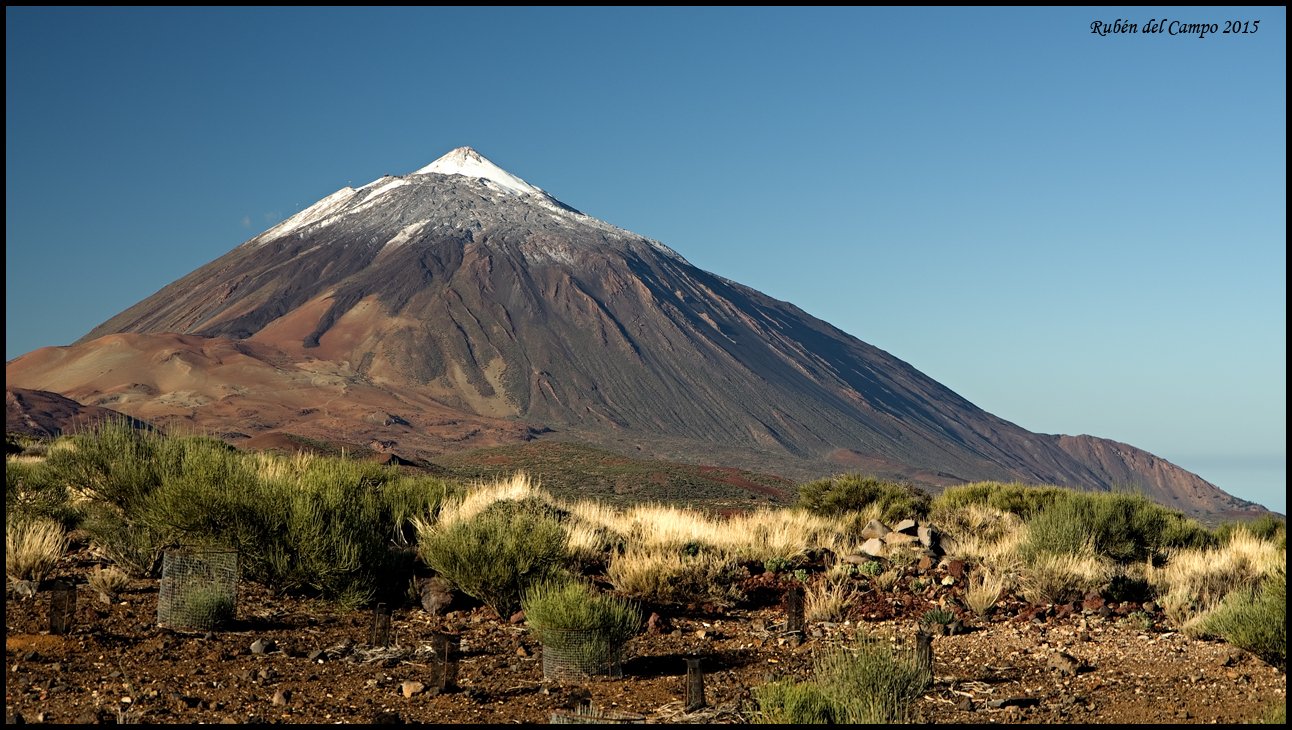 CVO2c0cWEAAT2tF.jpg:large