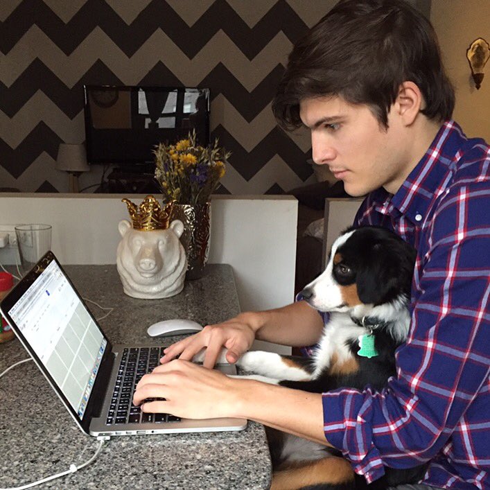 Izzy The Mini tweet media