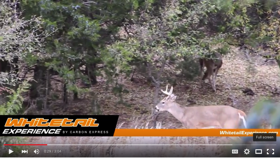 CarbonExpress's tweet photo. Tim Burnett of @SoloHunterTV talks strategies for #huntingwhitetail on #publicland
https://t.co/Bh3YLUaOcE https://t.co/vWJ6ois5A4
