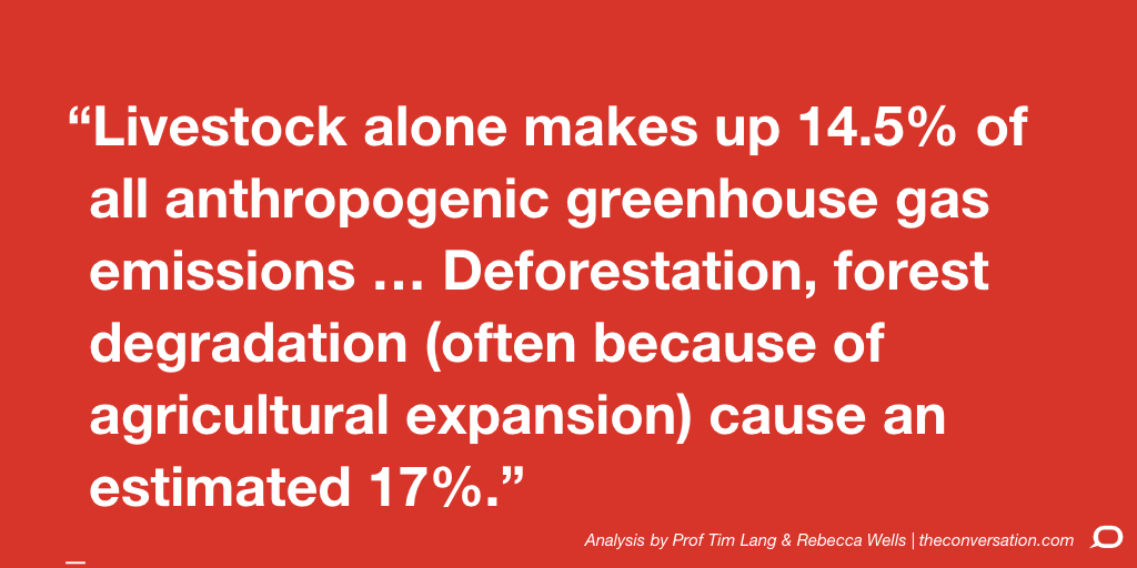 The Conversation tweet media