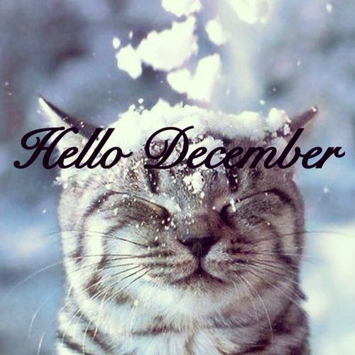 HBudapets's tweet photo. Goodbye November ~ https://t.co/Ki303wfgWb