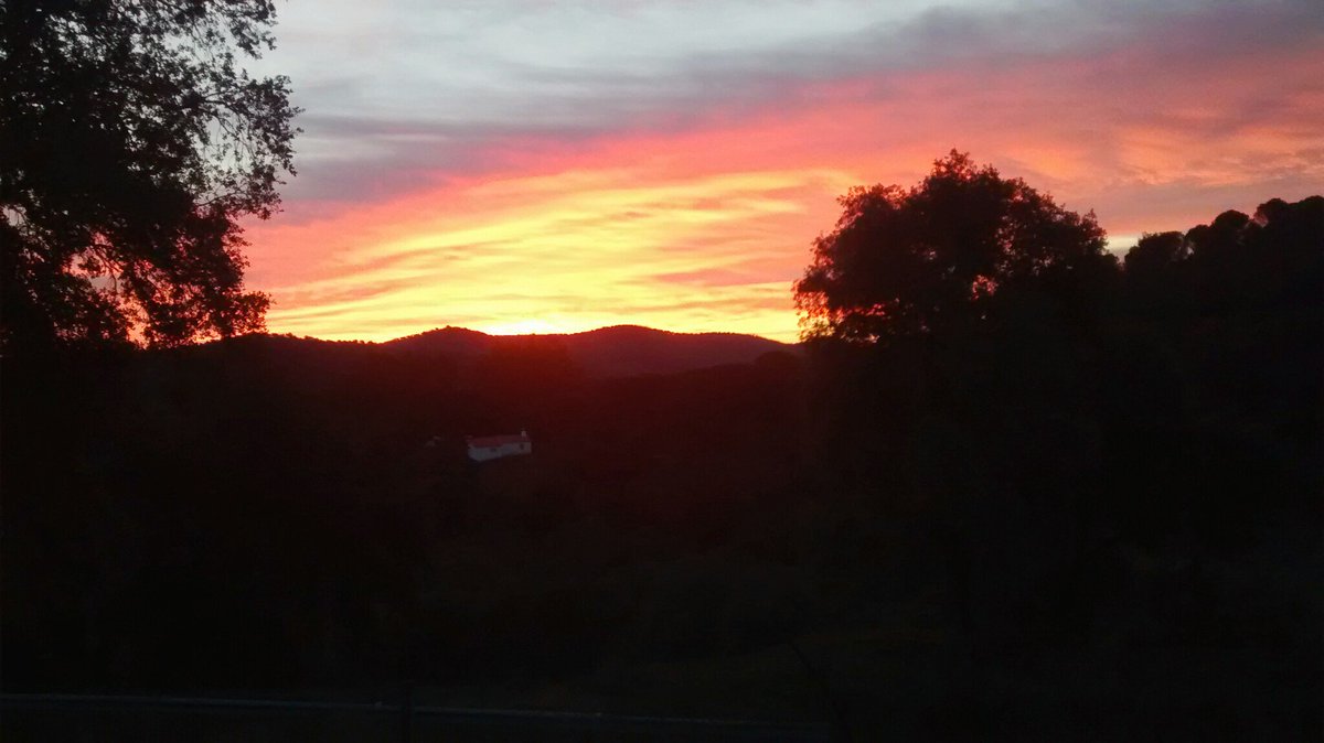 rafaercebolla's tweet photo. @CrisGranadosTV amanecer en la sierra de Villaviciosa de cordoba https://t.co/WqgTVjuzid