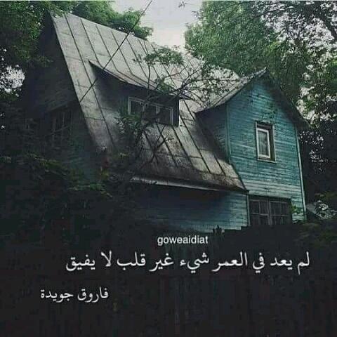 WNurjes's tweet photo. https://t.co/CARkuLnjFi