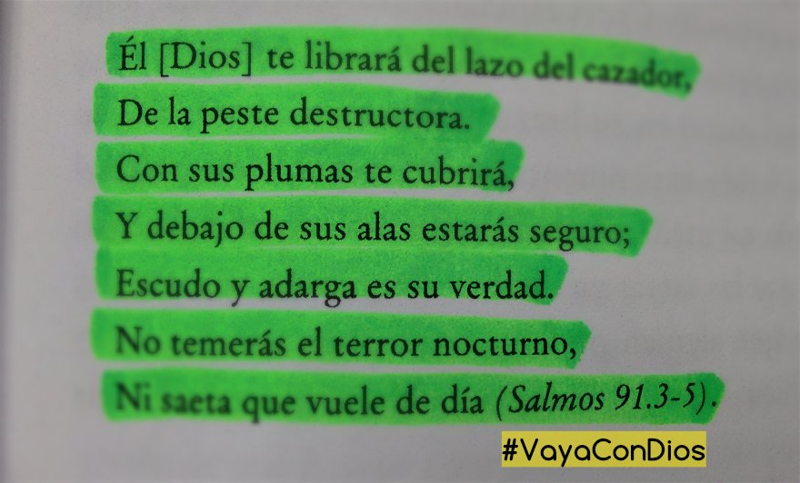 VayaConDios2015's tweet photo. #ElSagradoRomance: ¡El Señor nos guarda! Salmos 91:3-5 #VayaConDios https://t.co/YXuOh6xyAp