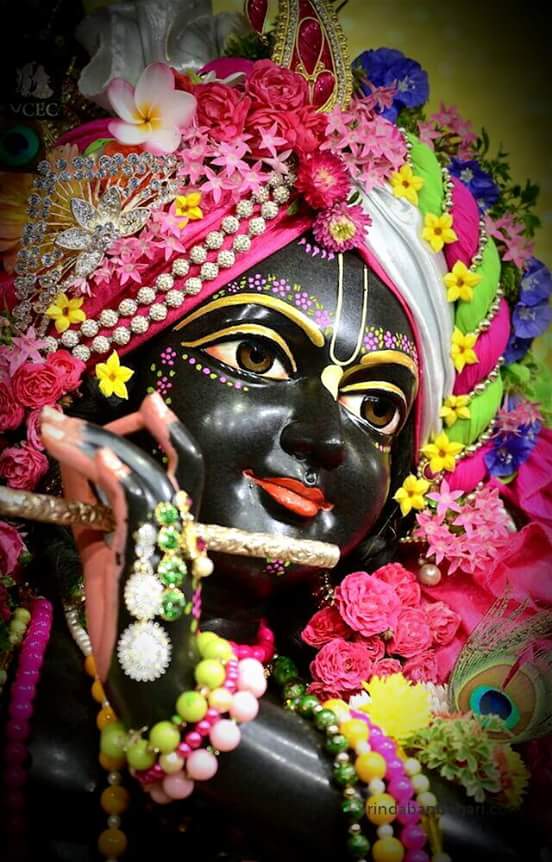 alisha_bhr's tweet photo. My solute to Bakibihari ji https://t.co/0E3qtP28jW