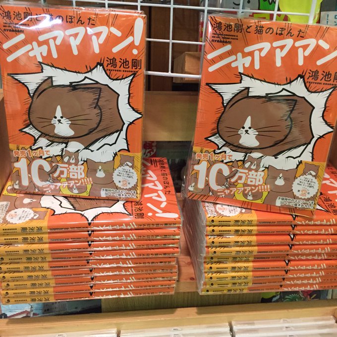 猫のぽんた ニャアアアン 広報部 S Recent Tweets 8 تحليلات تويتر الرسومية الخاصة بهوتويت Whotwi