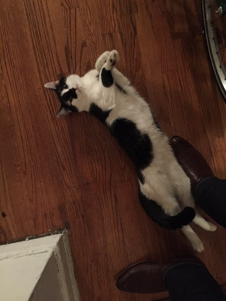 Sir James tweet media