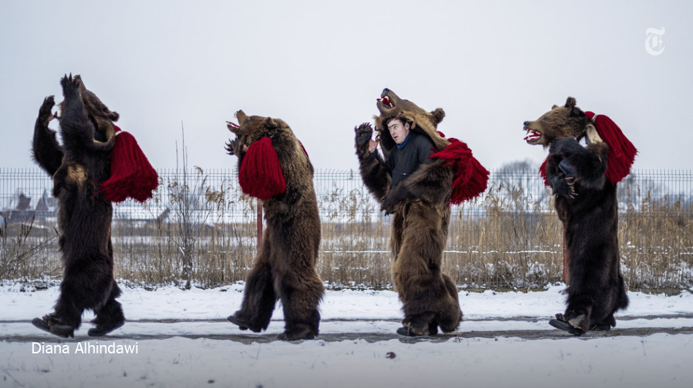 nytimesphoto's tweet photo. In a corner of Romania, the holidays are ushered in by troupes of bearskin-clad revelers https://t.co/NrVAw0f2yU https://t.co/m6CNx4bXfA