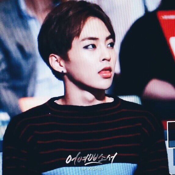 최고존엄.... 위험해 여기...위험...