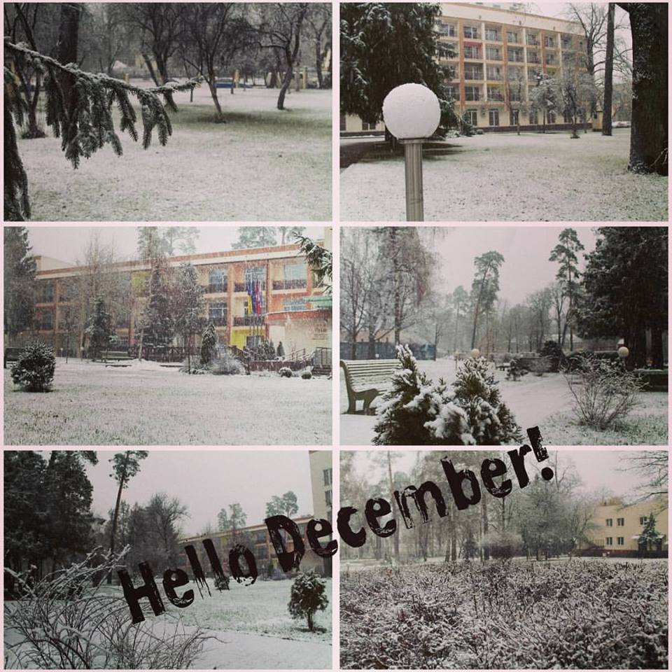 Mike4mUkraine's tweet photo. Welcome winter,-hello December!#puschacongresshotel #конгрессотельпуща #puscha #winter #зима #декабрь #киев #природа https://t.co/iAAEe0KwpU
