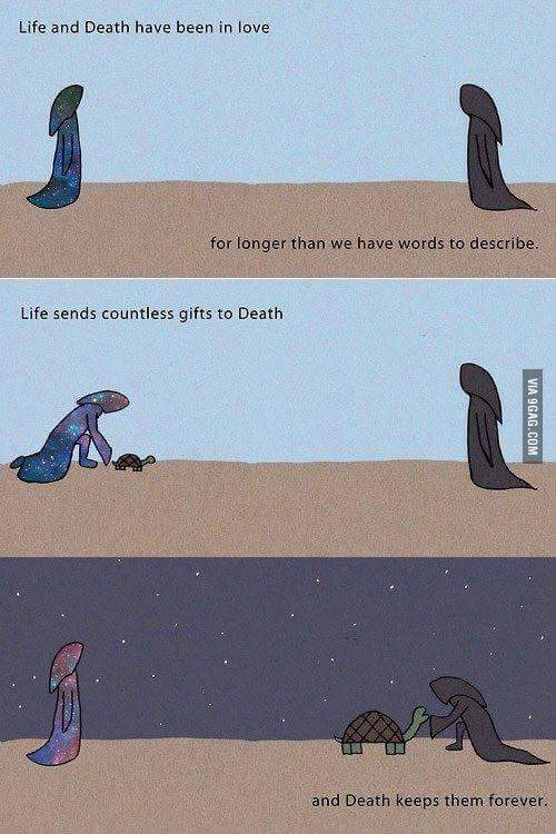 Snukerel's tweet image. Forever