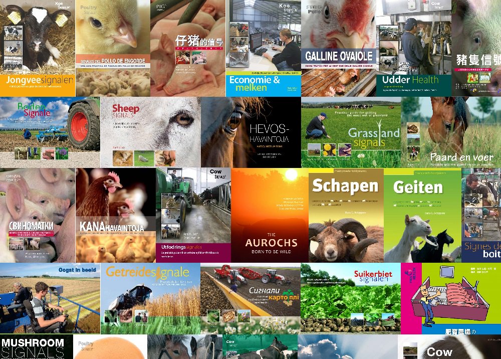 Rdbont's tweet image. Do you know all these titles?