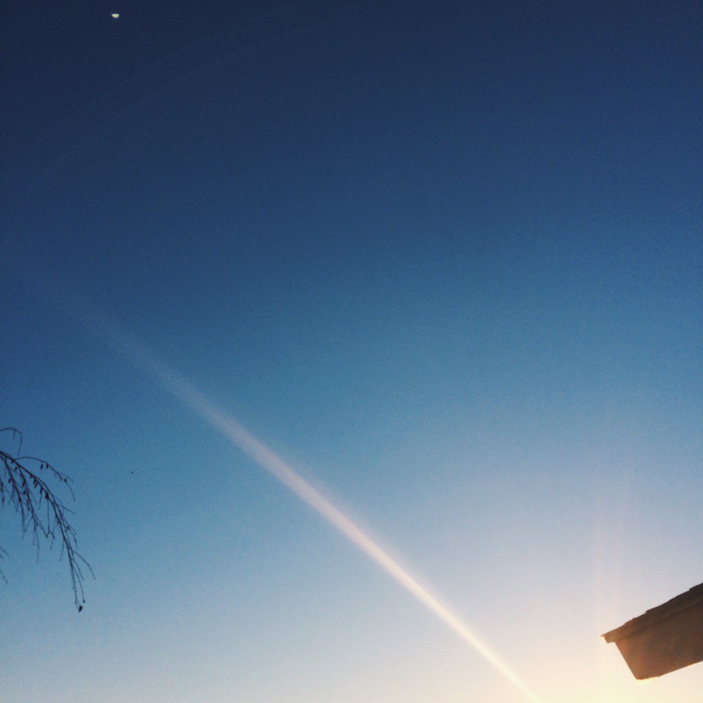 sydneymahana's tweet photo. this morning is so pretty https://t.co/QHLF8nZcC0