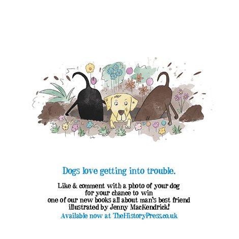 Embedded image permalink