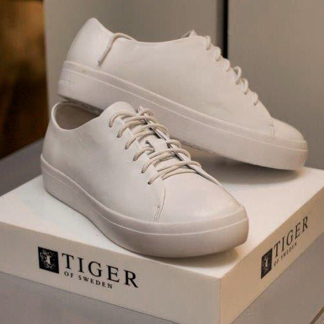 tiger of sweden sneakers