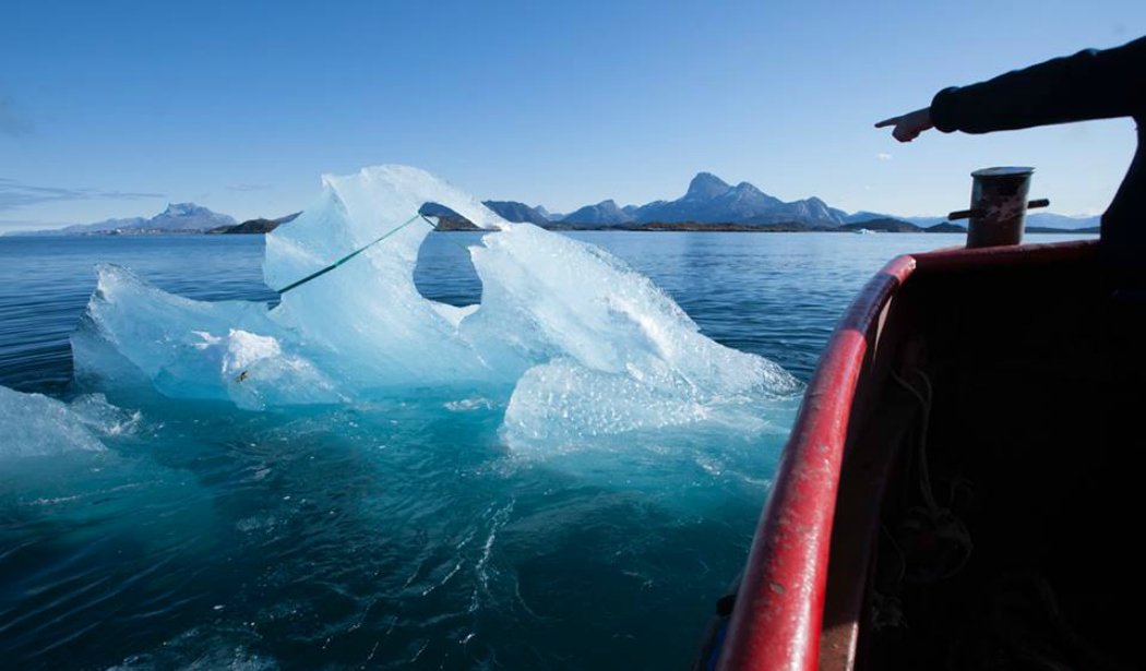 Bruna Souza tweet media