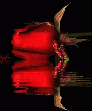 ♥ Auda Vargas ♥ tweet media
