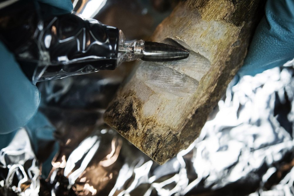 Embedded image permalink